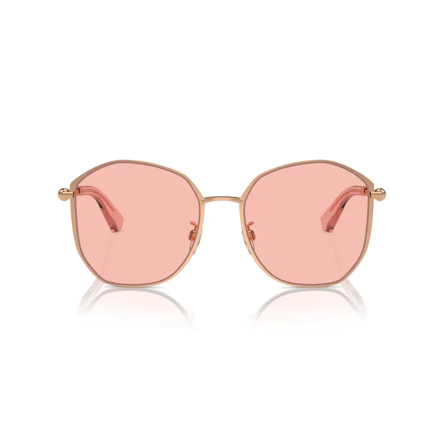 BURBERRY B3153-D 1337/5
