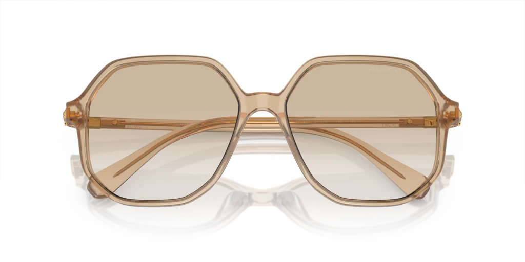 SWAROVSKI SK6003-103411