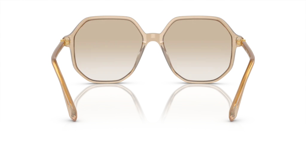 SWAROVSKI SK6003-103411